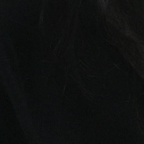 권지호