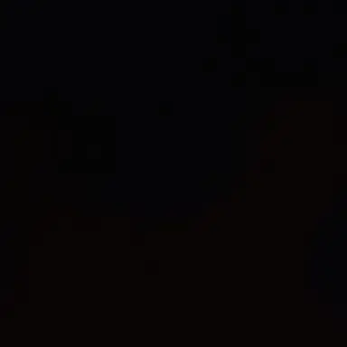 Profile image of m