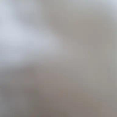 Profile image of 낮료미