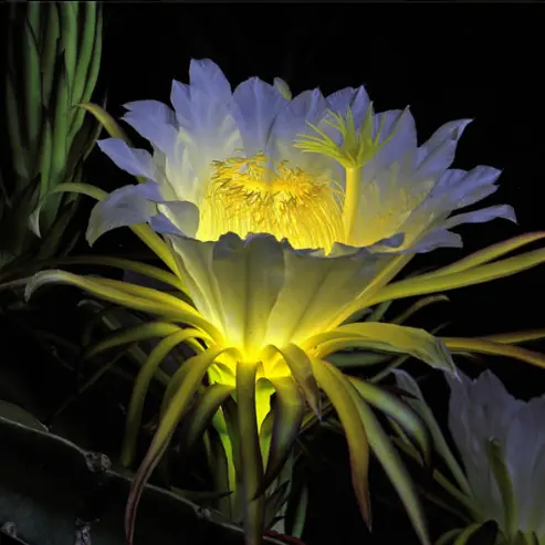 RunnyFloor7809의 実はMなS嬢さん♡