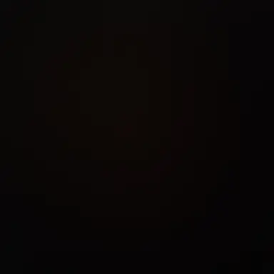 Profile image of 수현