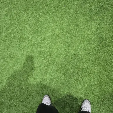 Profile image of 최상엽