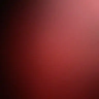 Profile image of Theo