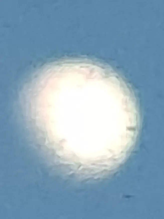 Freedom-Character의 -(예정)-