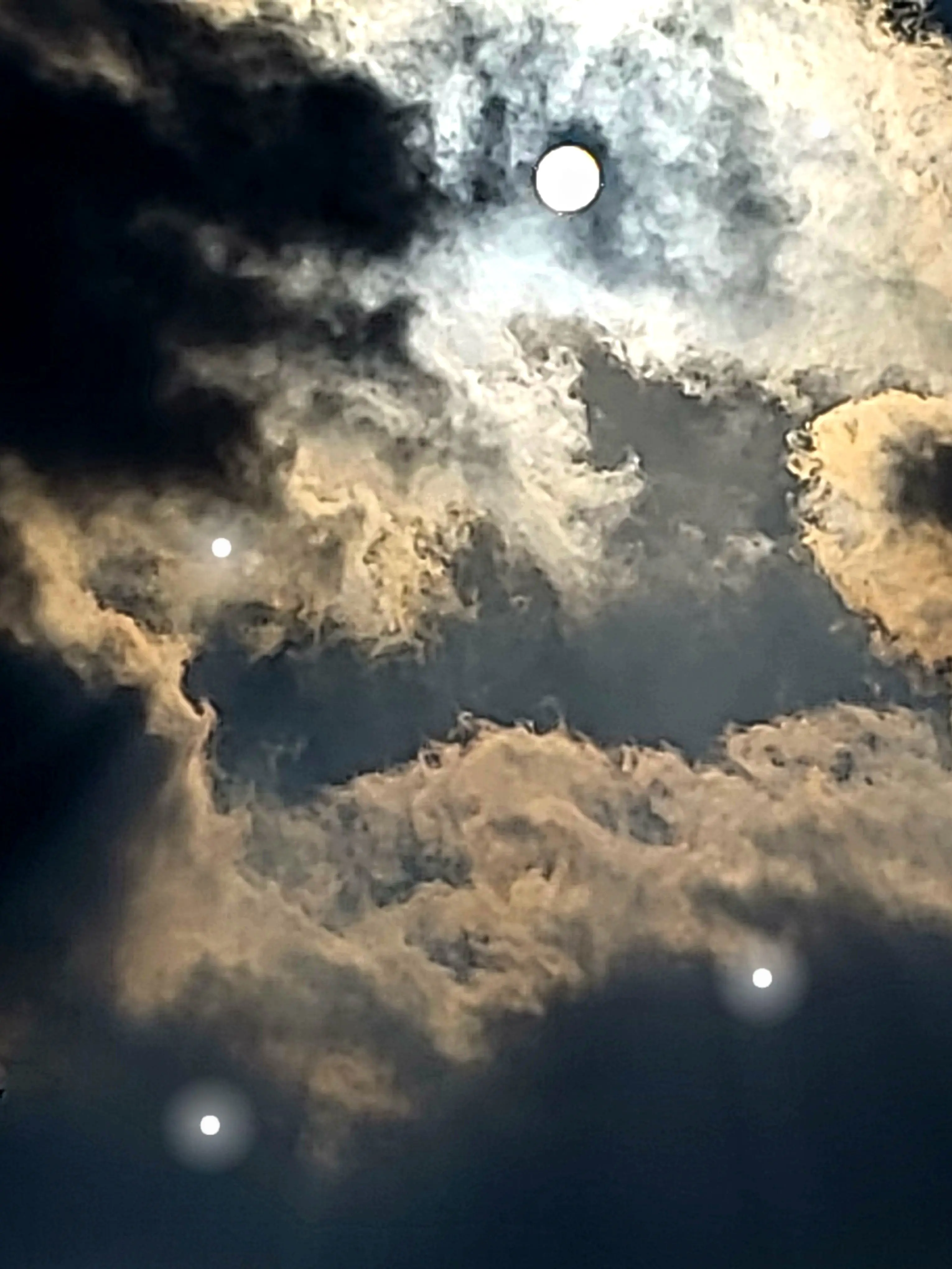 iloveyw16의 쿠키런킹덤 동거!!