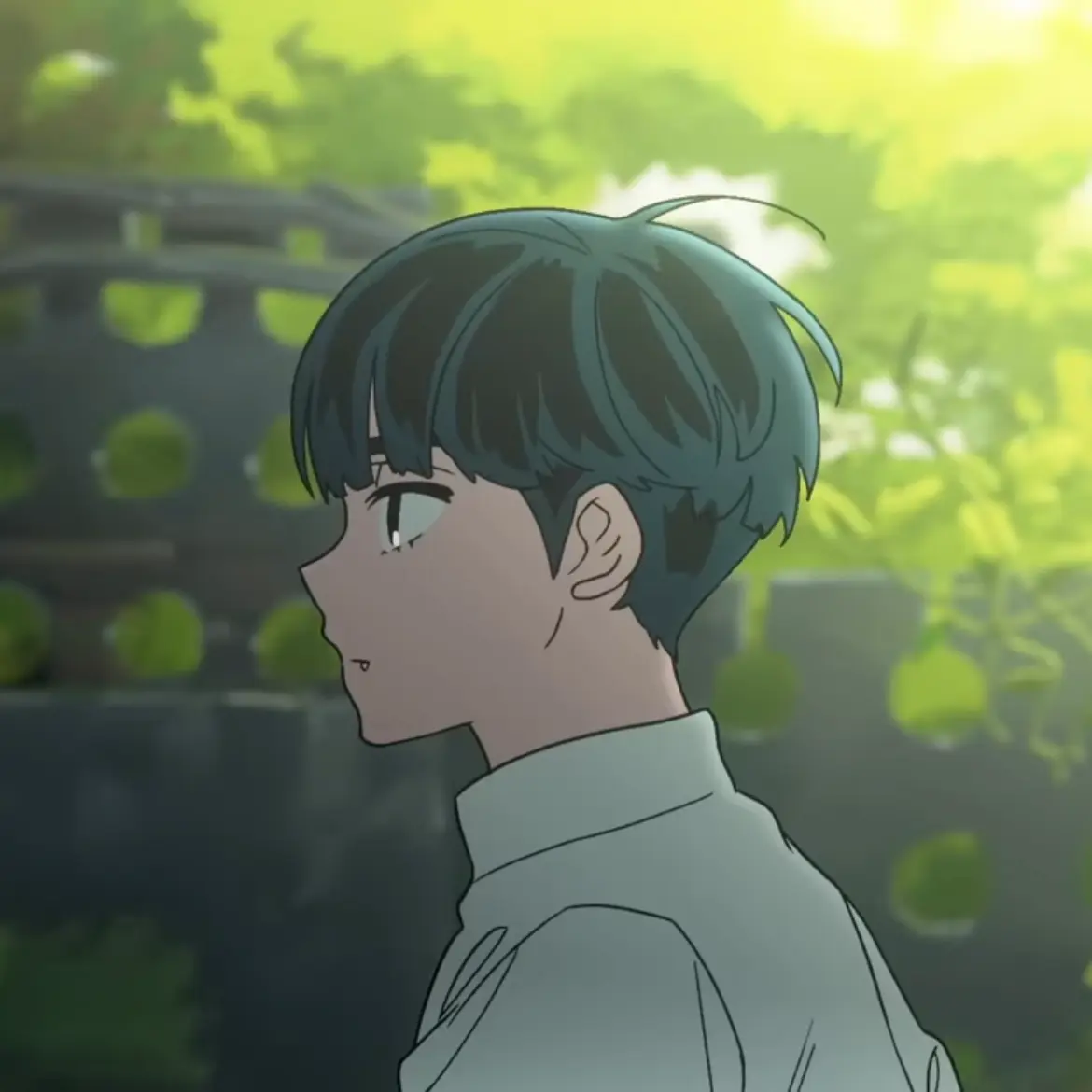 ivti0221의 이반
