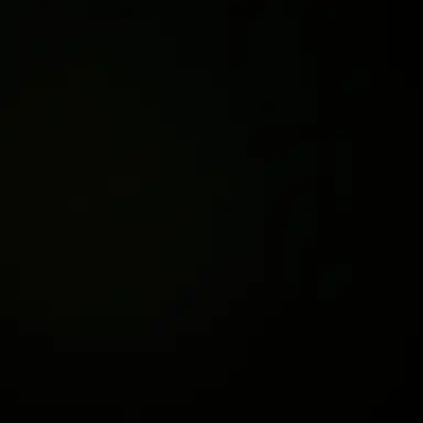 Profile image of 손님