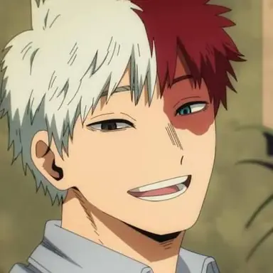 Profile image of Shoto Todoroki