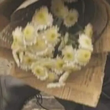 Profile image of 서희빈
