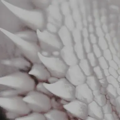 Profile image of 루치오