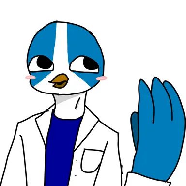 Profile image of 퀘이로