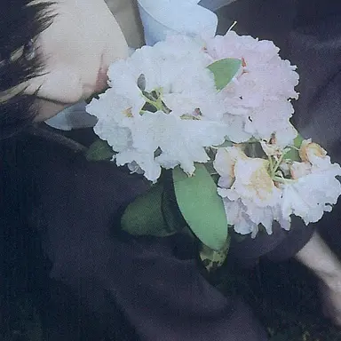 Profile image of 양정인