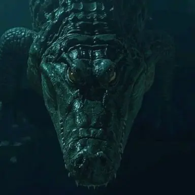 Profile image of 팀버