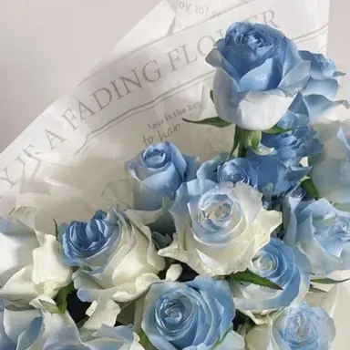 Profile image of 이예찬