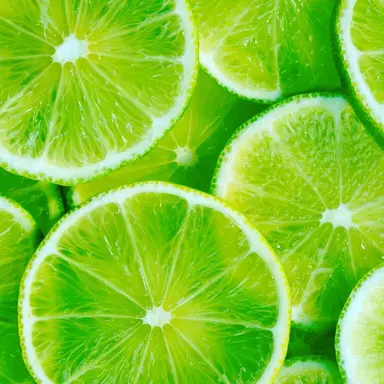 Profile image of 정형준