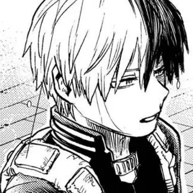 Profile image of Todoroki Shoto