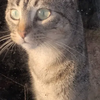Profile image of Jack
