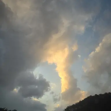 Profile image of 하은