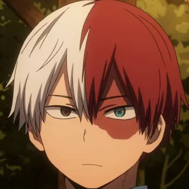 Profile image of Todoroki