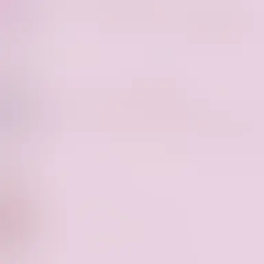Profile image of R