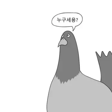 PetiteShop8015의 새대갈