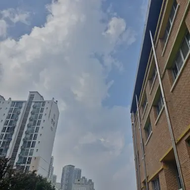 Profile image of 덕개