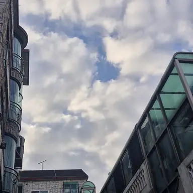 Profile image of 공룡