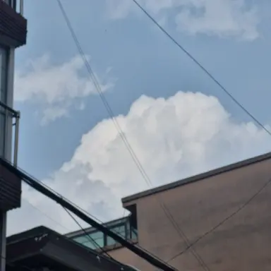 Profile image of 잠뜰