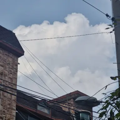 Profile image of 선생님