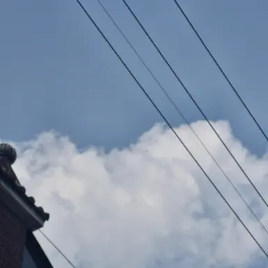 Profile image of 수현