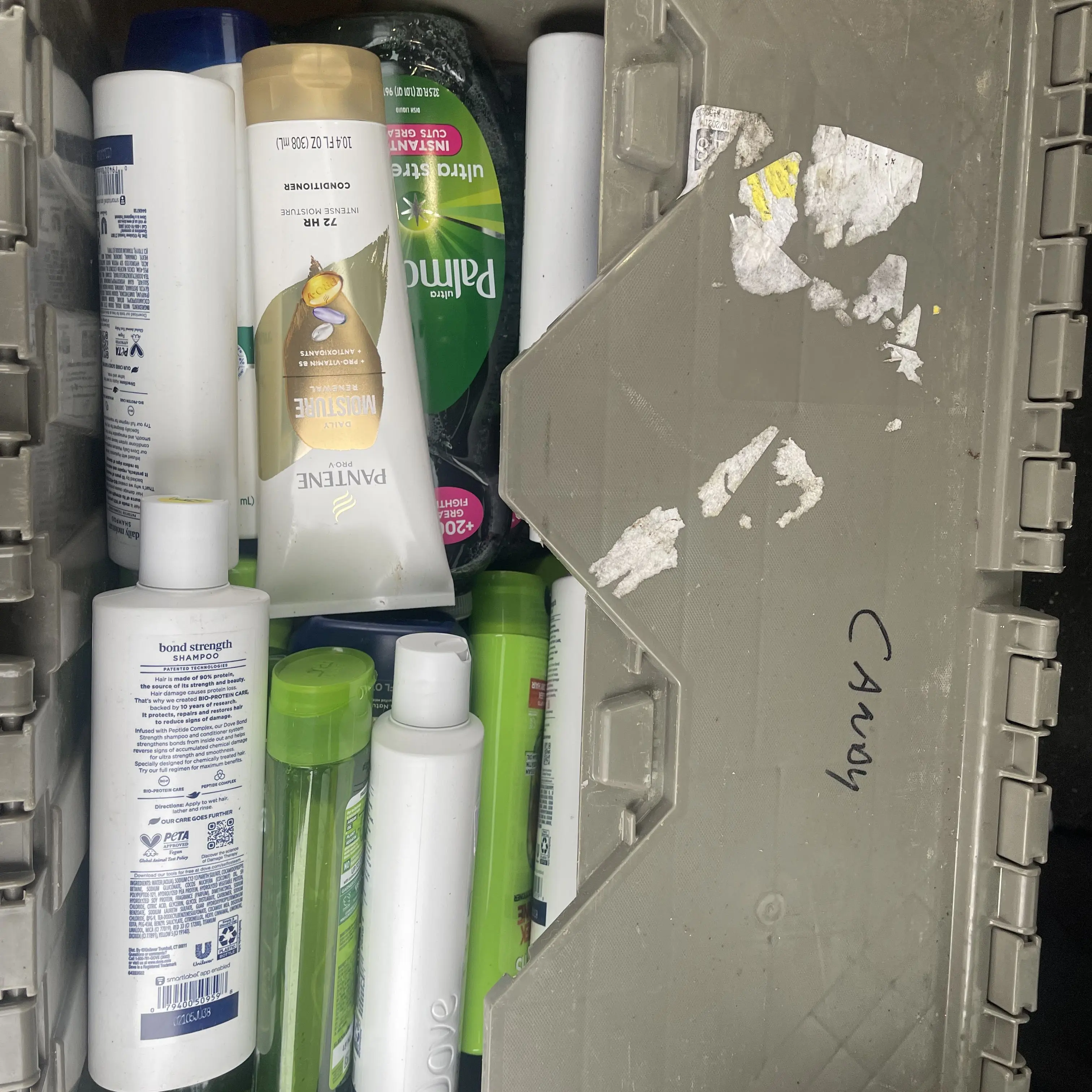 UsefulEggs7236의 Coffee with a Dragon