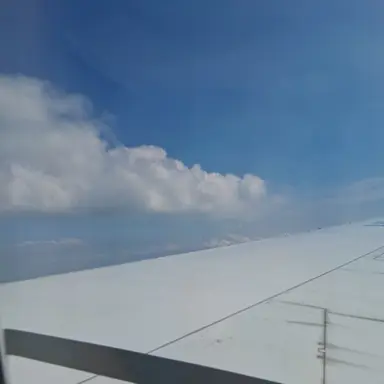 Profile image of 이재희