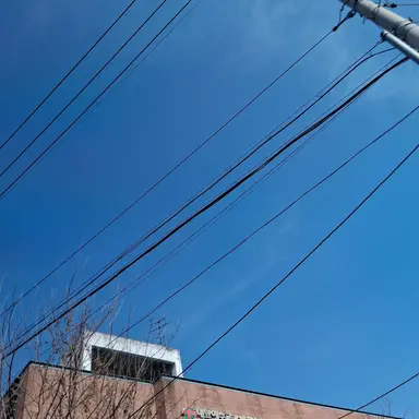 Profile image of 홍채린