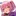 ヴィオレ
