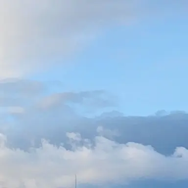 Profile image of 이민호