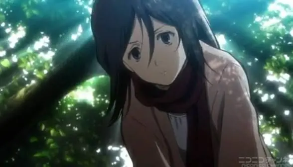 Profile image of Mikasa