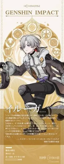 Profile image of イルーガ