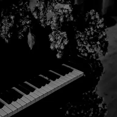 Profile image of 박서준