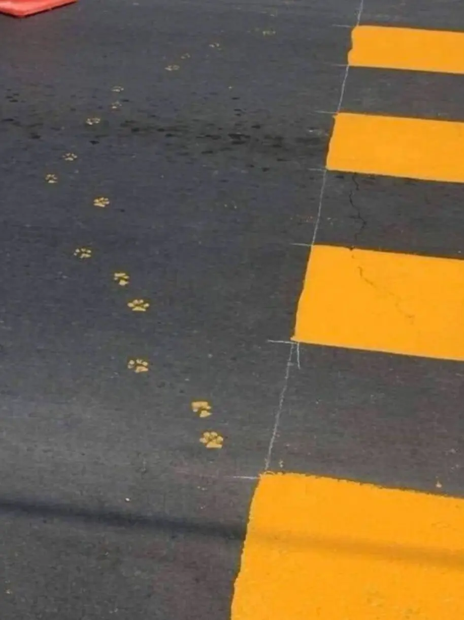 Cubic_duck의 서라더