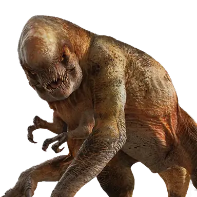 Profile image of D렉스