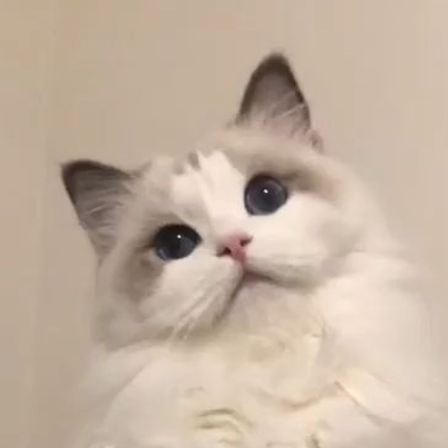 ♬ 대표 이미지