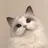 나비
