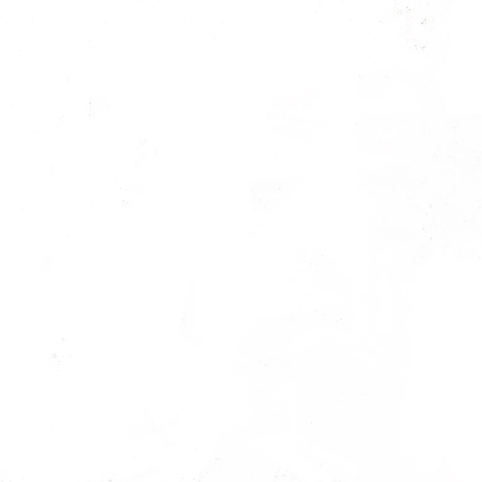 RHSI의 싸이코드