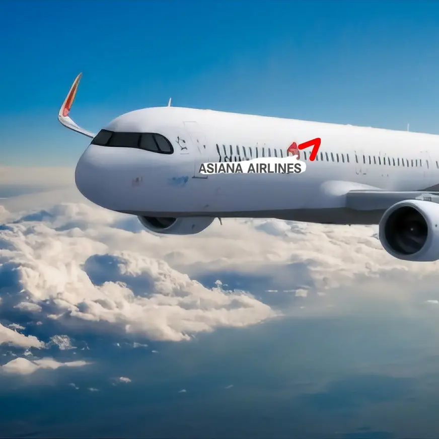 KRAIRWAYSFLIGHT7214의 아시아나항공 214편 