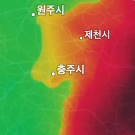 HumidFrond5077의 신채이