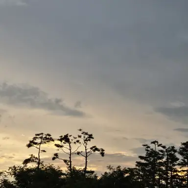 Profile image of 선비은남채널 구독자