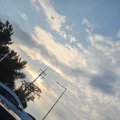 Profile image of 사이먼