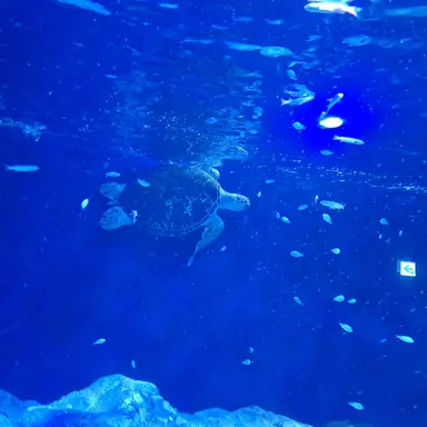 Profile image of 소리질러 잼못타