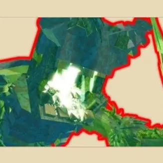 Profile image of Lichen