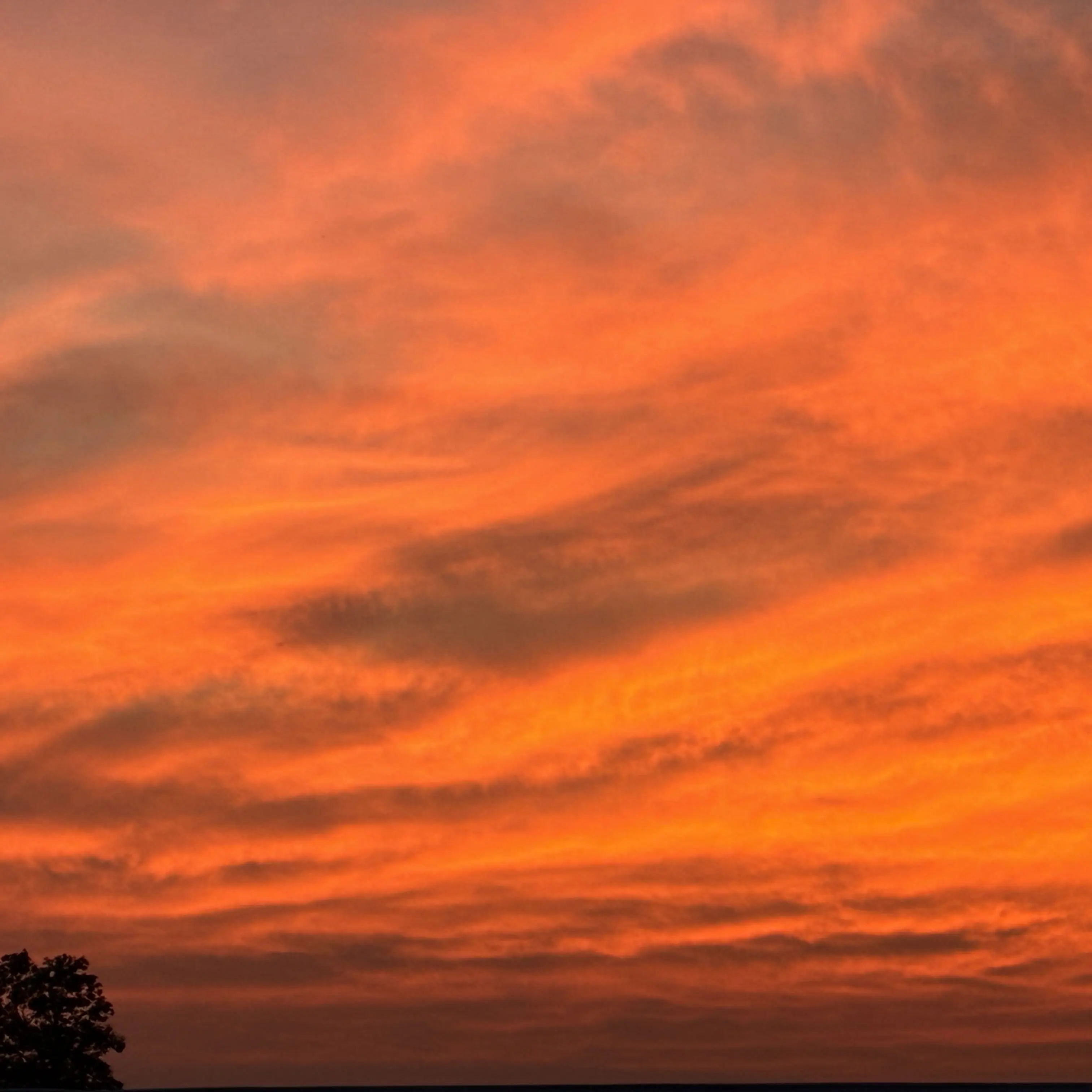 LazyFace9482의 礼堂ヒカル